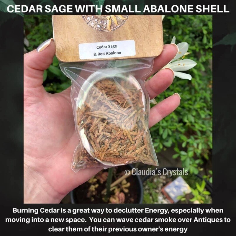 SAGE - CEDAR SAGE WITH 3” ABALONE SHELL