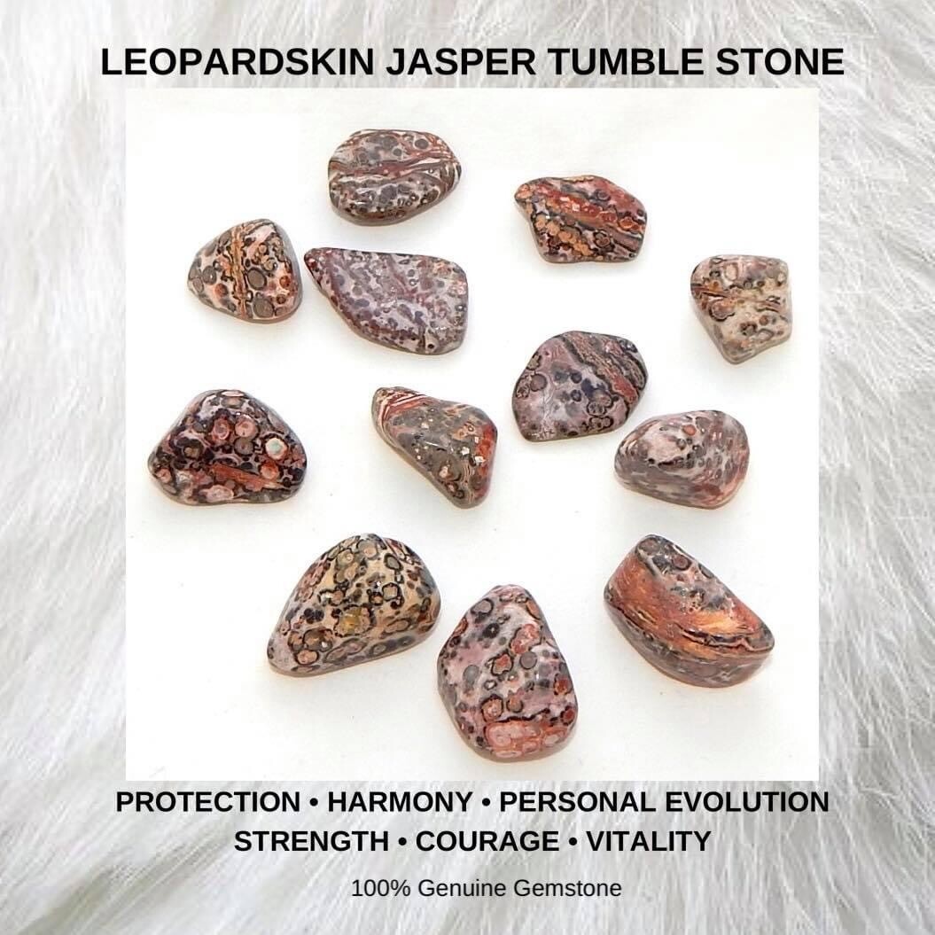 LEOPARD SKIN JASPER - (Lg)