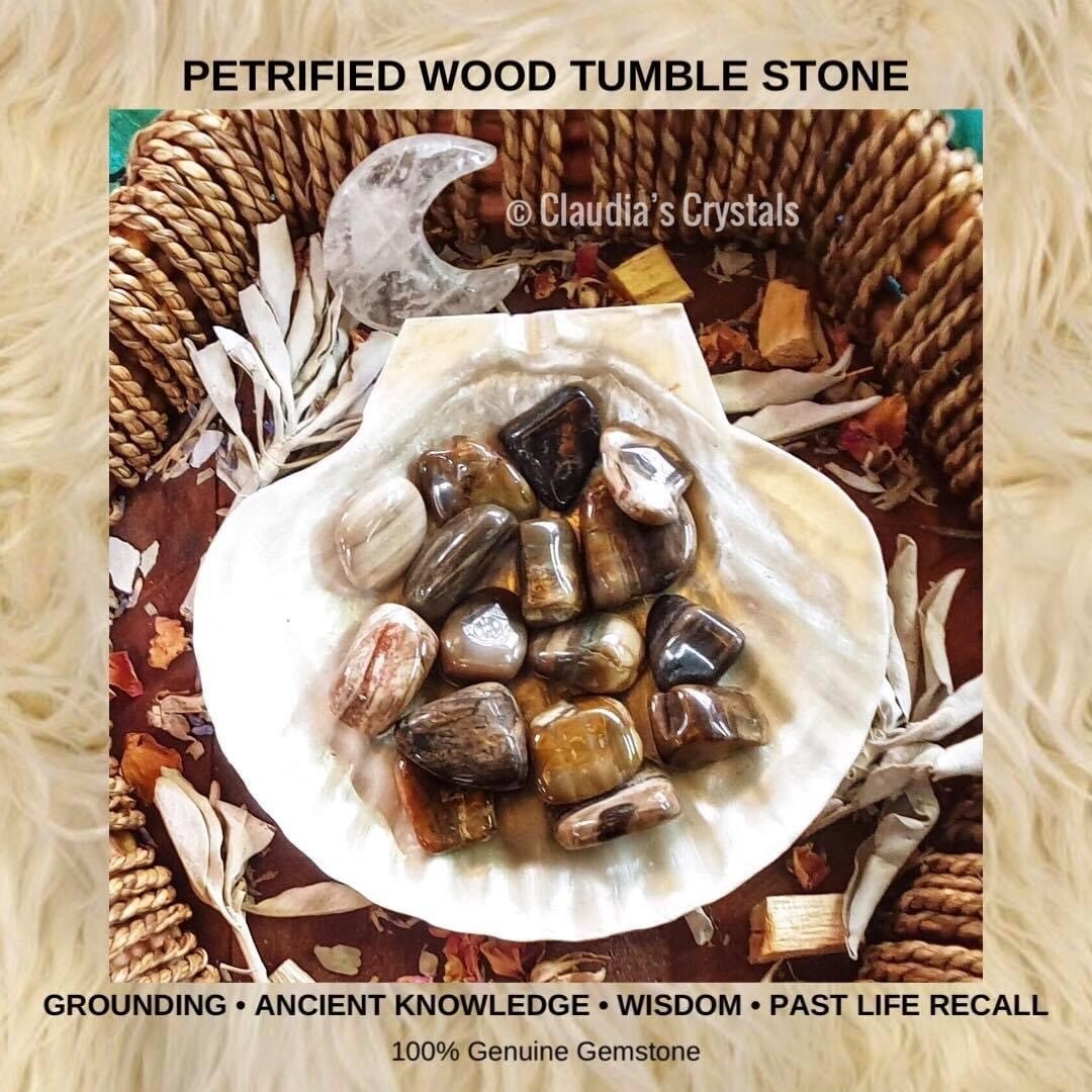 PETRIFIED WOOD - (Lg)