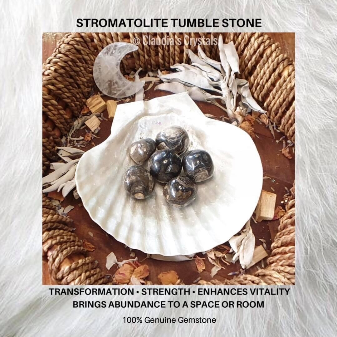 STROMATOLITE - (Med)