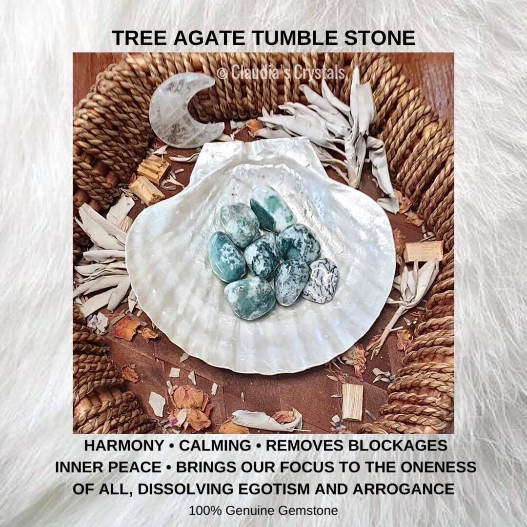 TREE AGATE - (Lg)