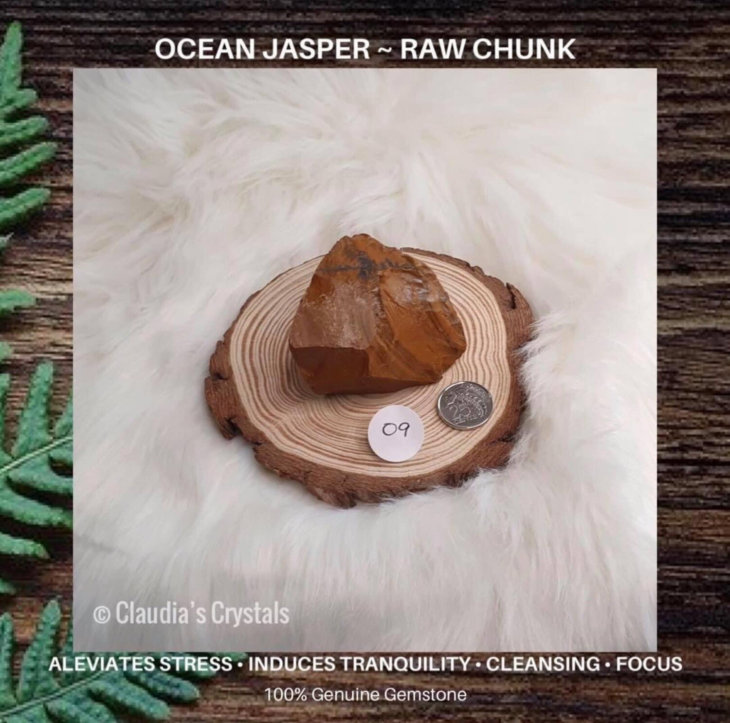 OCEAN JASPER - PALM SIZED CHUNK