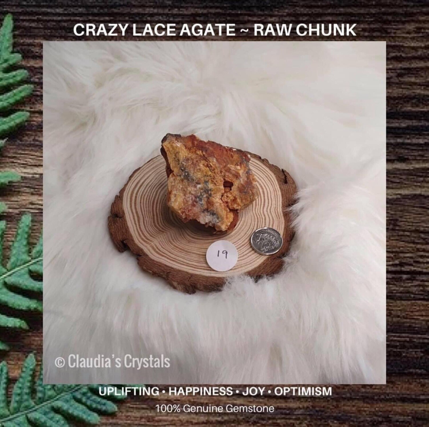 CRAZY LACE AGATE - PALM SIZED CHUNK