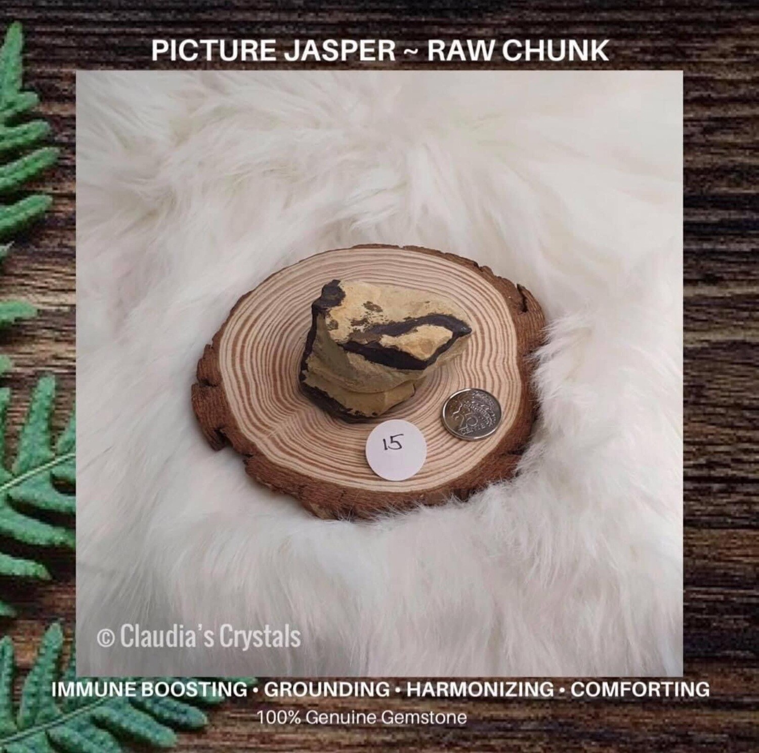 PICTURE JASPER - PALM SIZED CHUNK