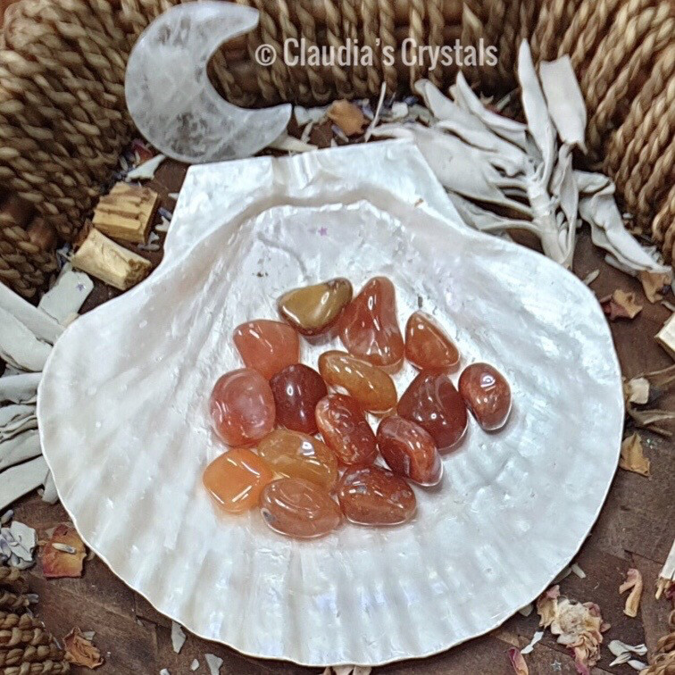 CARNELIAN - (Sm)