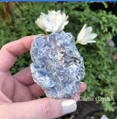 BLUE KYANITE SPECIMEN - Brazil