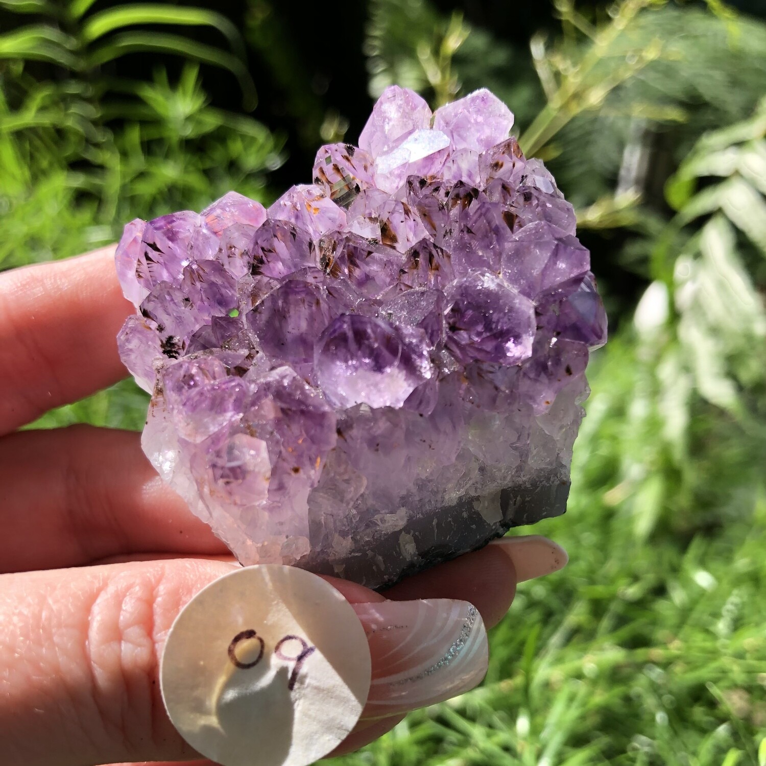 AMETHYST CLUSTER (Med) - 5.5cm