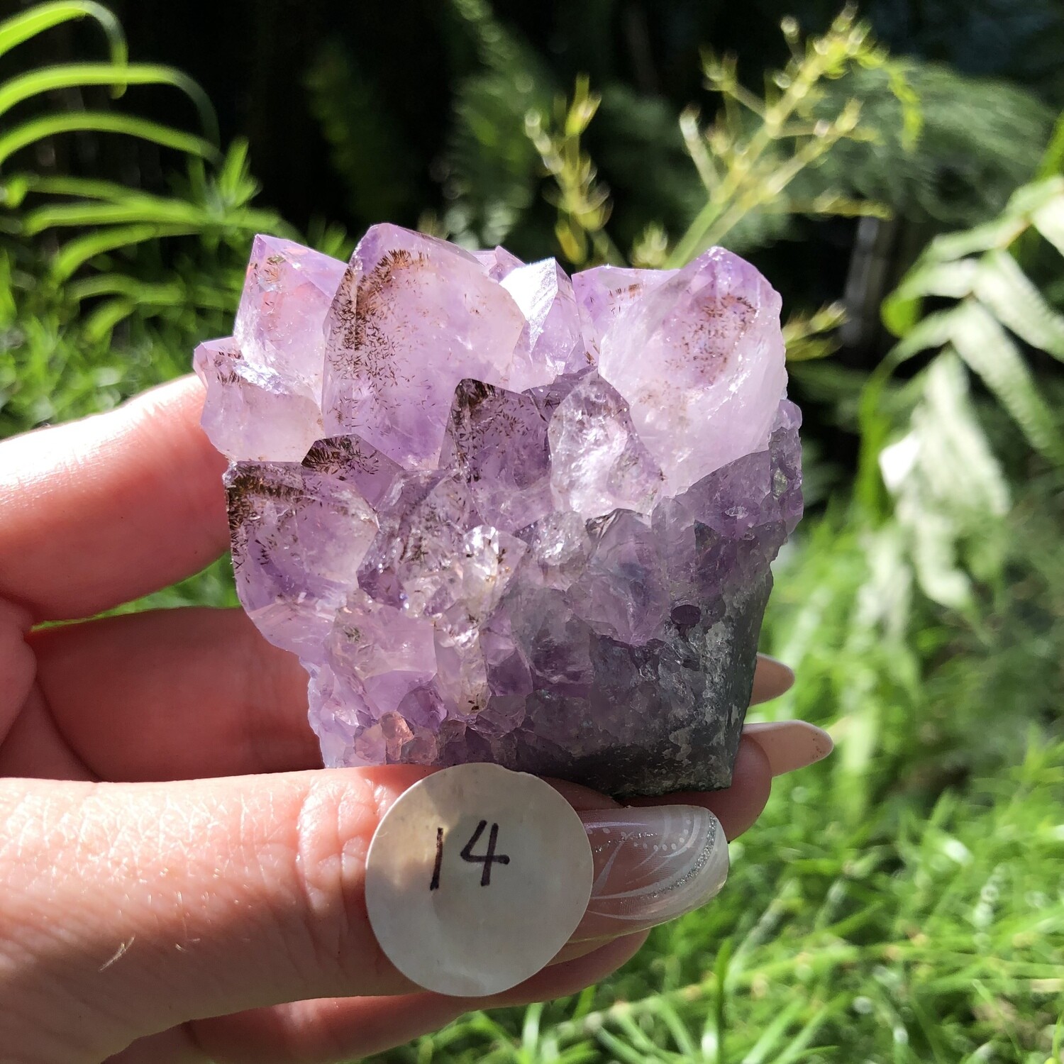 AMETHYST CLUSTER (Med) - 5.5cm
