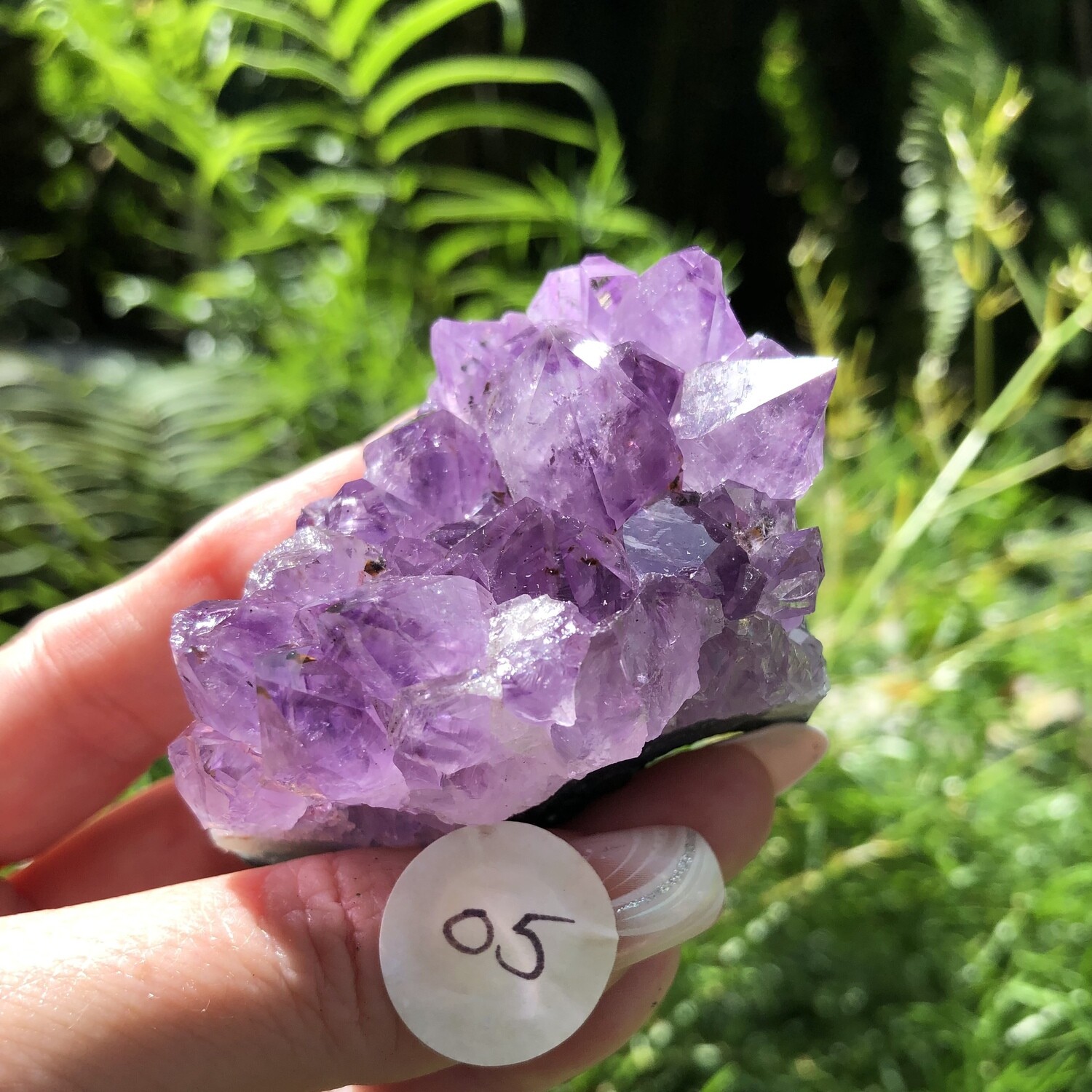 AMETHYST CLUSTER (Med) - 6.5cm