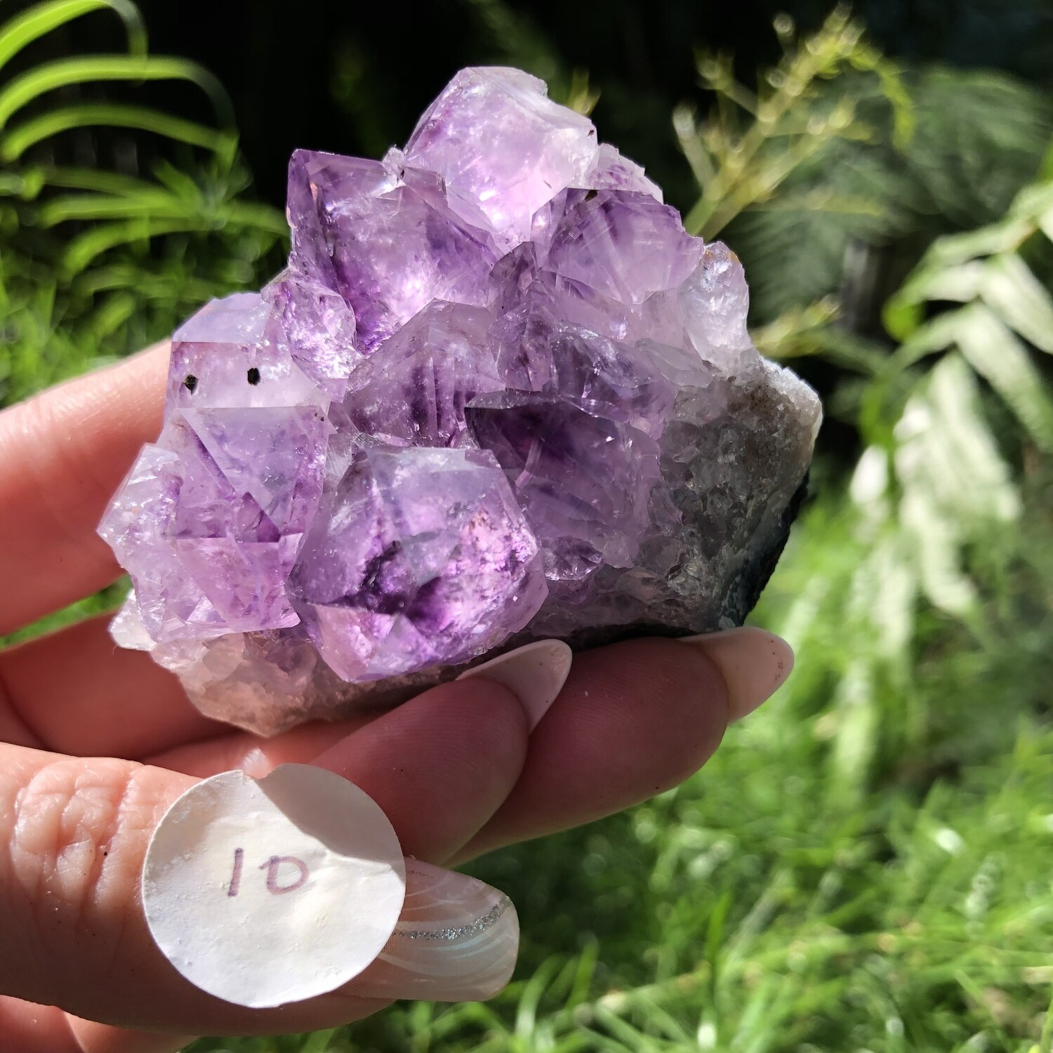 AMETHYST CLUSTER (Med) - 6cm