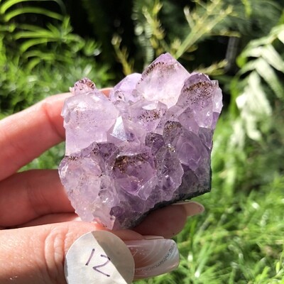 AMETHYST CLUSTER (Med) - 6cm