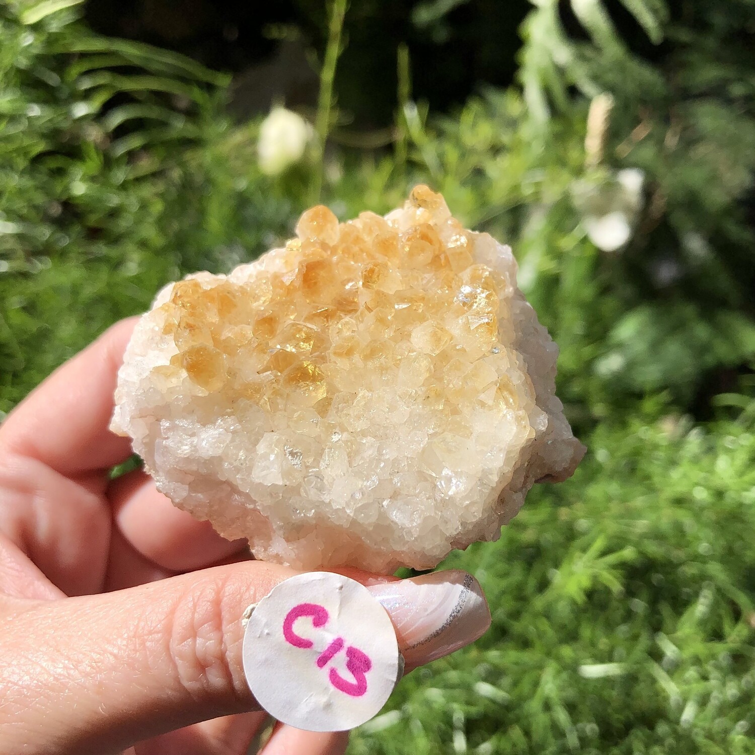 CITRINE CLUSTER - 6cm