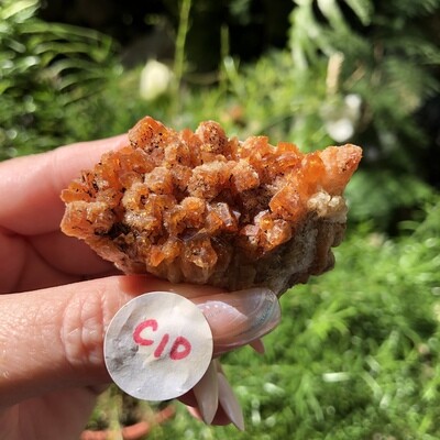 CITRINE CLUSTER - 5.5cm - Luck, Money, Success, Joy