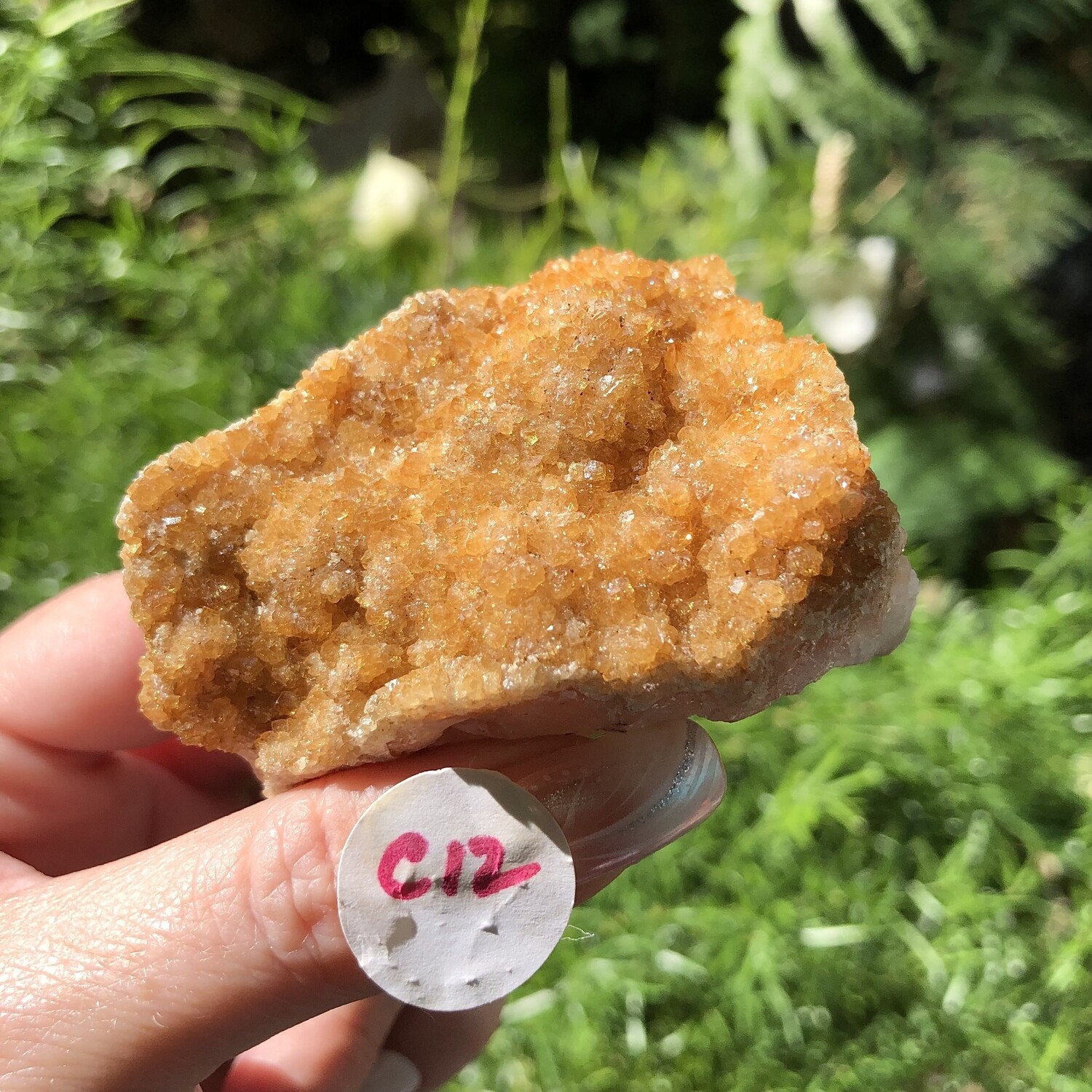 CITRINE CLUSTER - 6.5cm