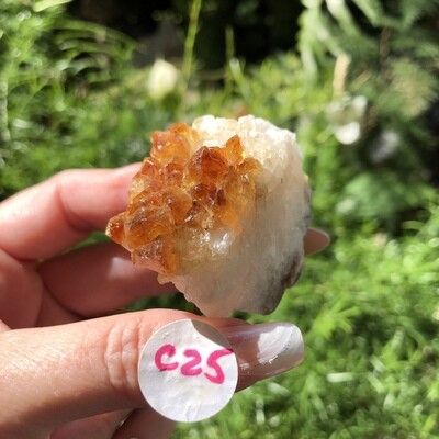 CITRINE CLUSTER - 5cm