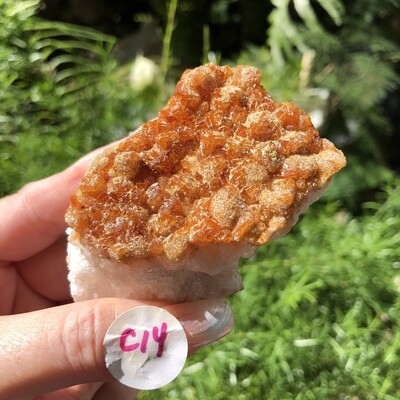 CITRINE CLUSTER - 7cm