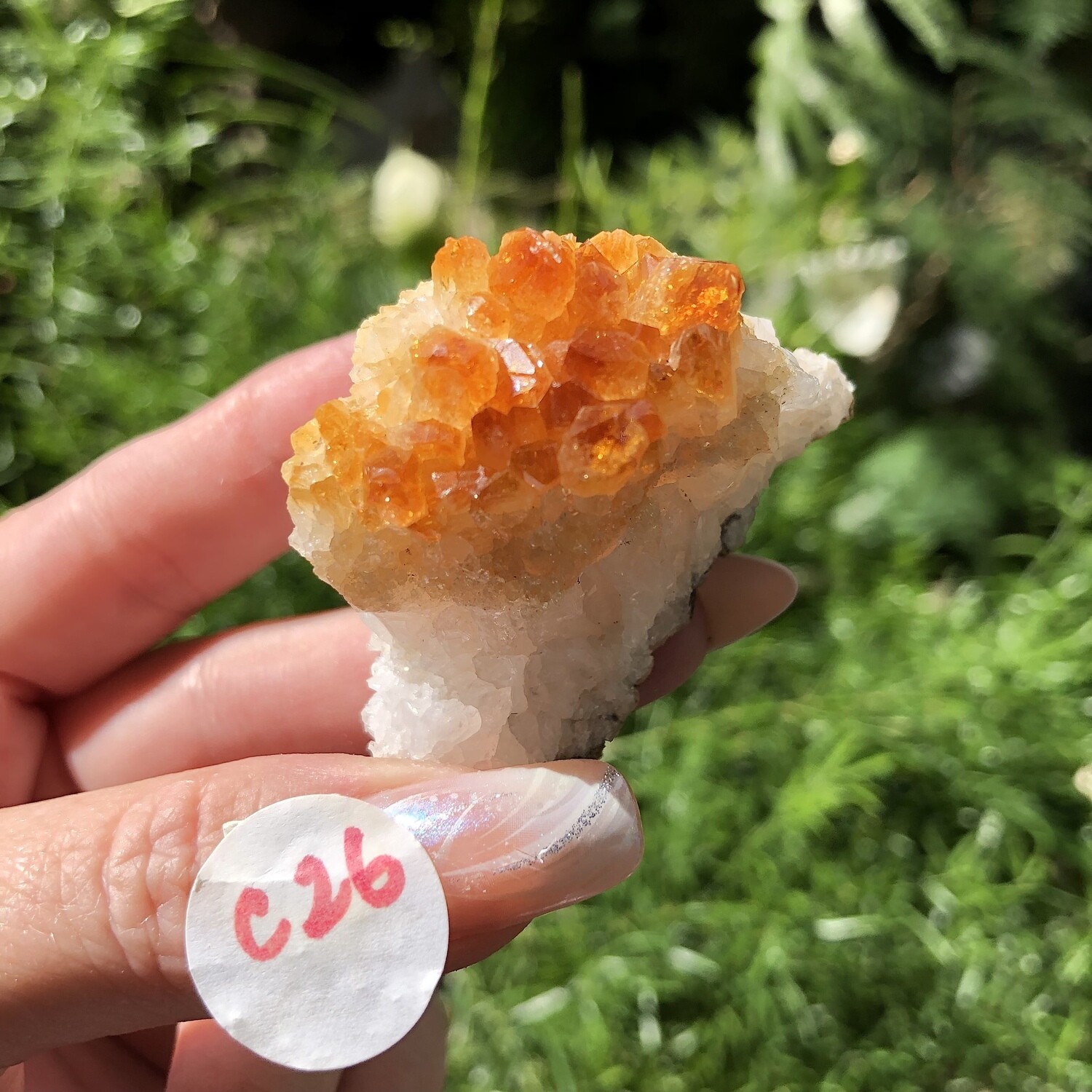 CITRINE CLUSTER - 5cm - Luck, Money, Success, Joy