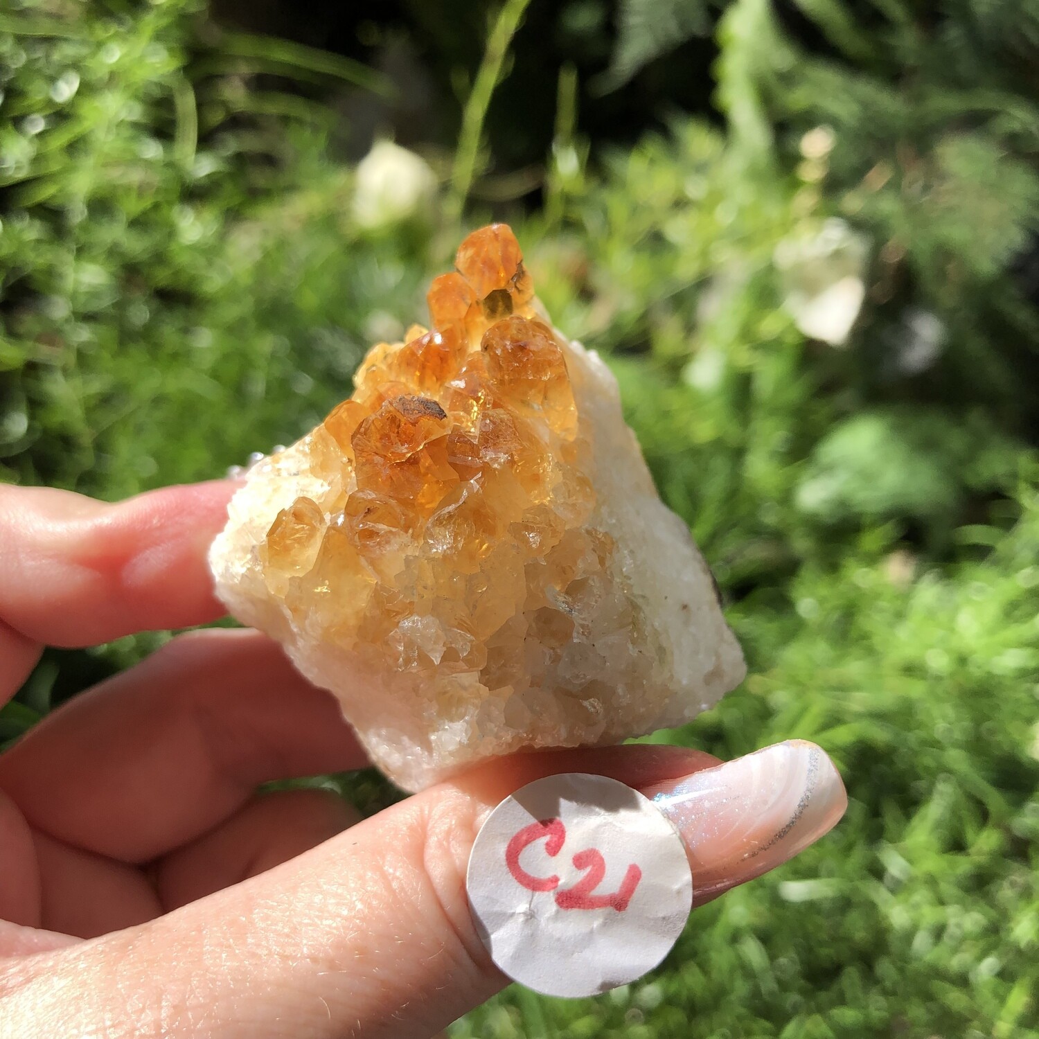 CITRINE CLUSTER - 5cm