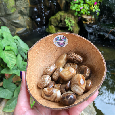 COFFEE CALCITE - (Med)