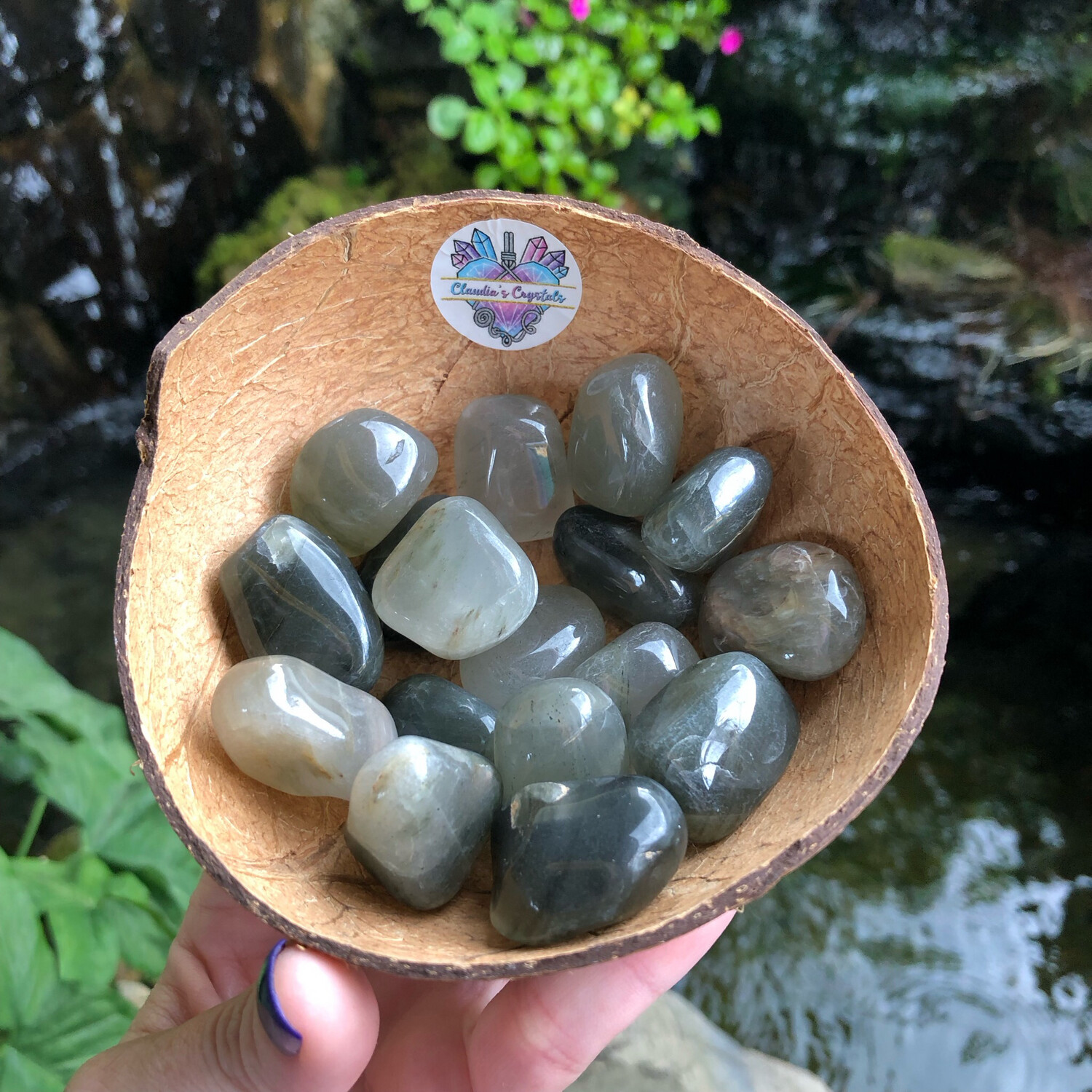 CHLORITE IN QUARTZ – Tumbled Stone – Medium