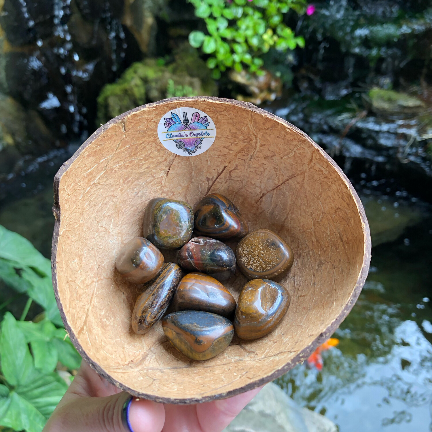 TIGER EYE GOLD - (Lg)