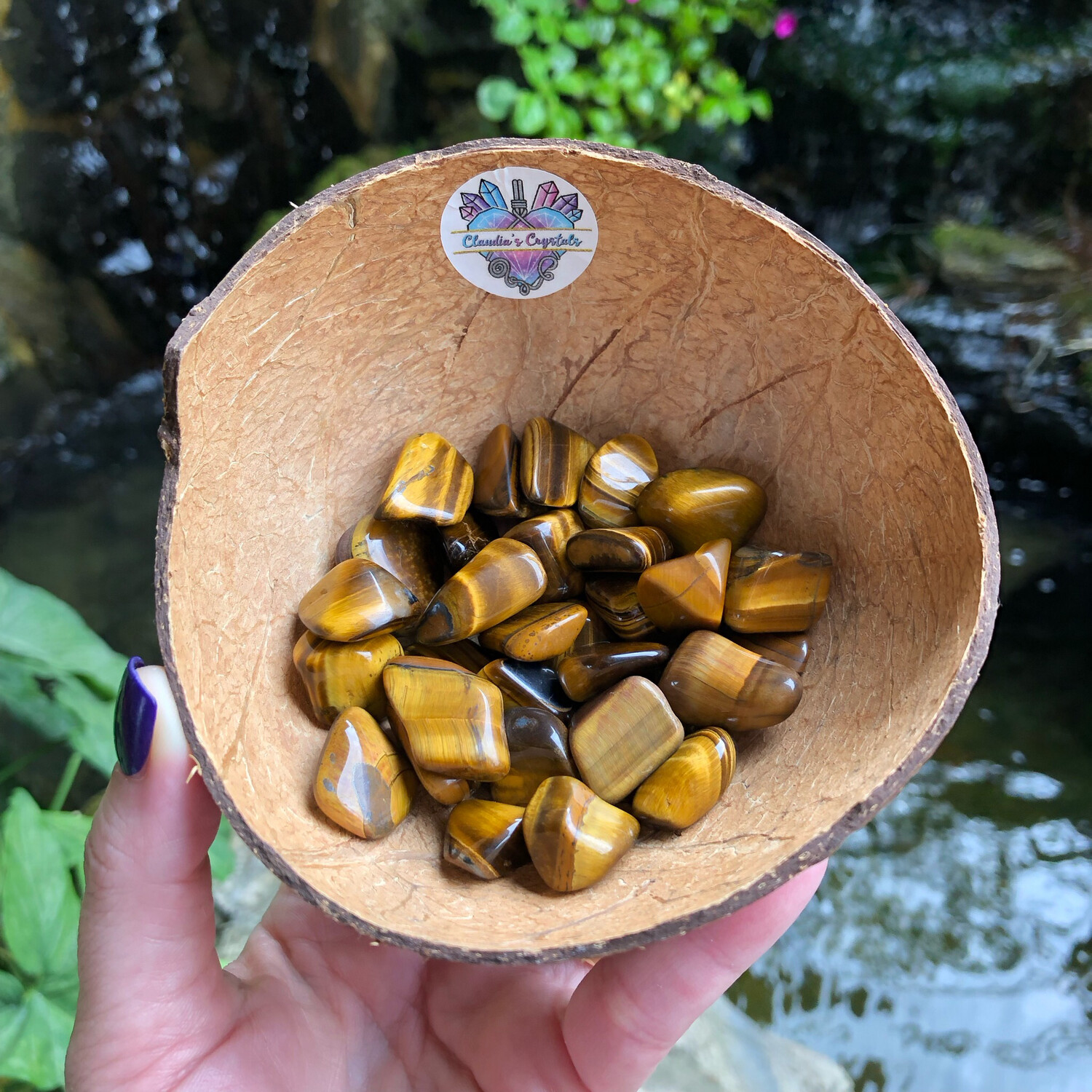 TIGER EYE GOLD - (Med)