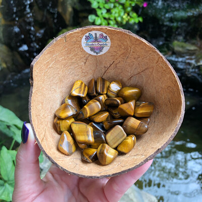 TIGER EYE GOLD - (Med)