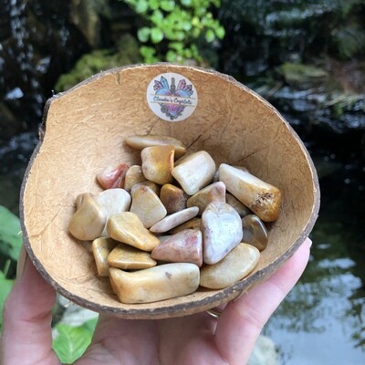 AGATIZED CORAL - (Med)