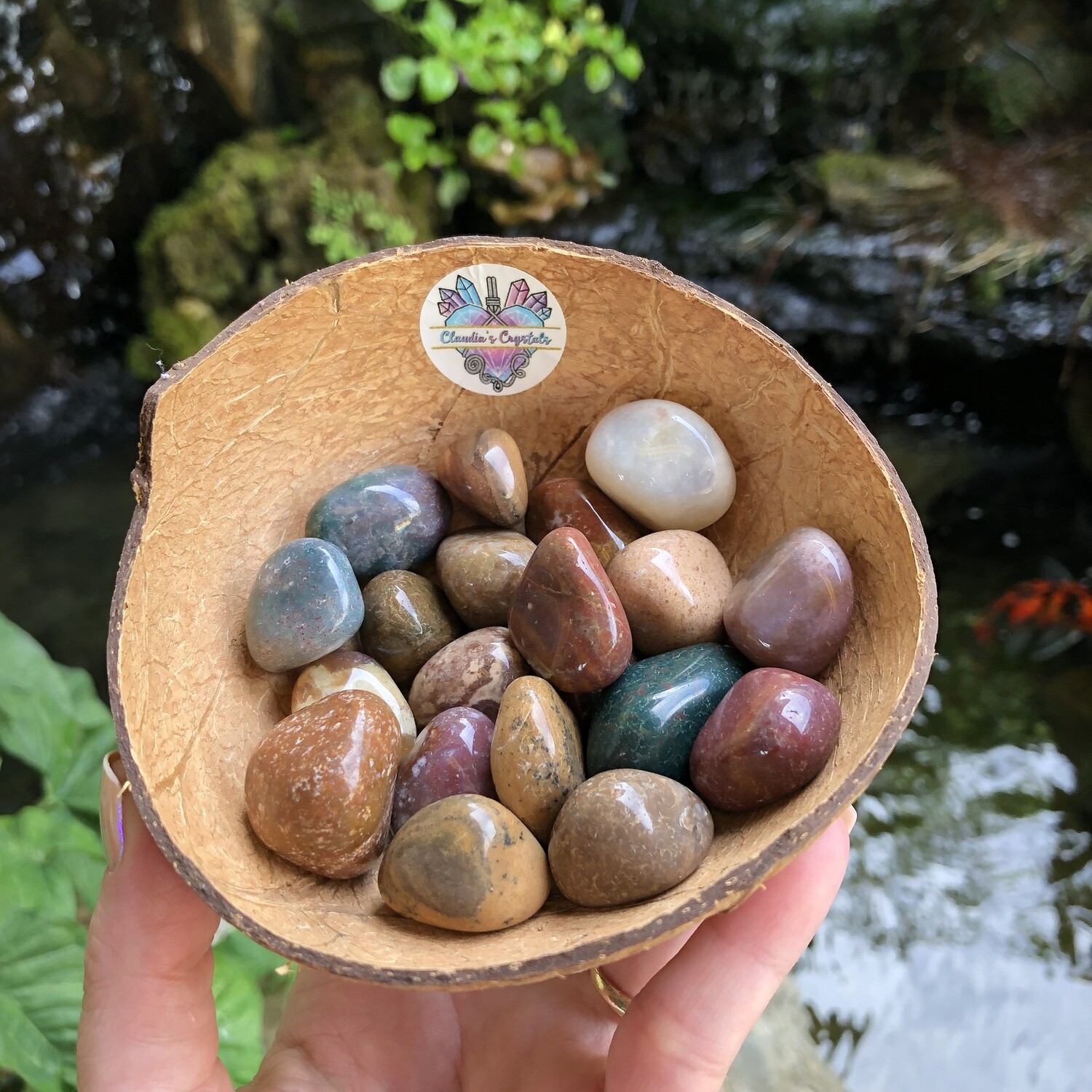 FANCY JASPER - (Med)