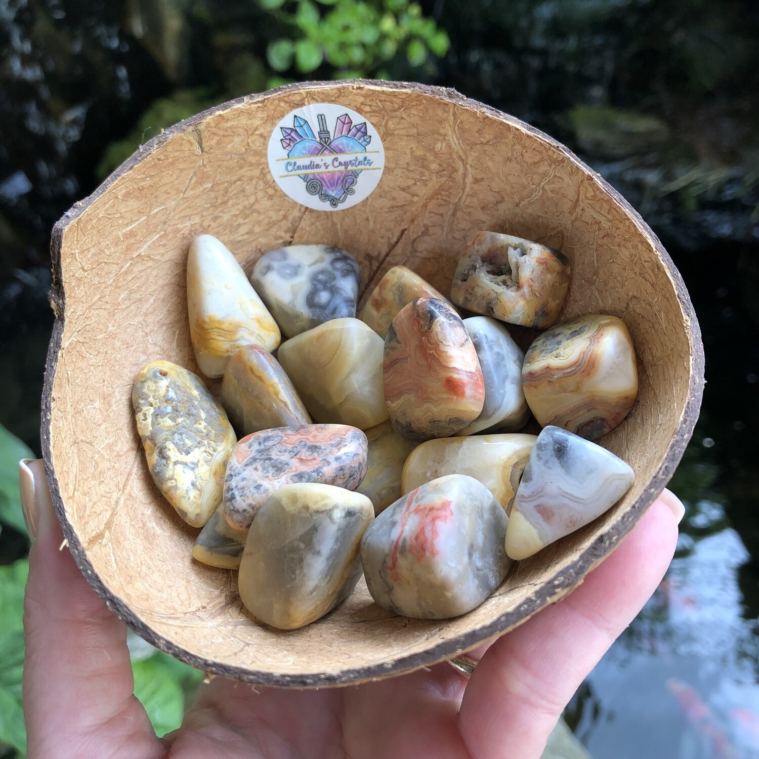 CRAZY LACE AGATE - (Med)