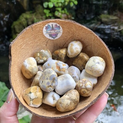 SPOTTED AGATE - (Lg)