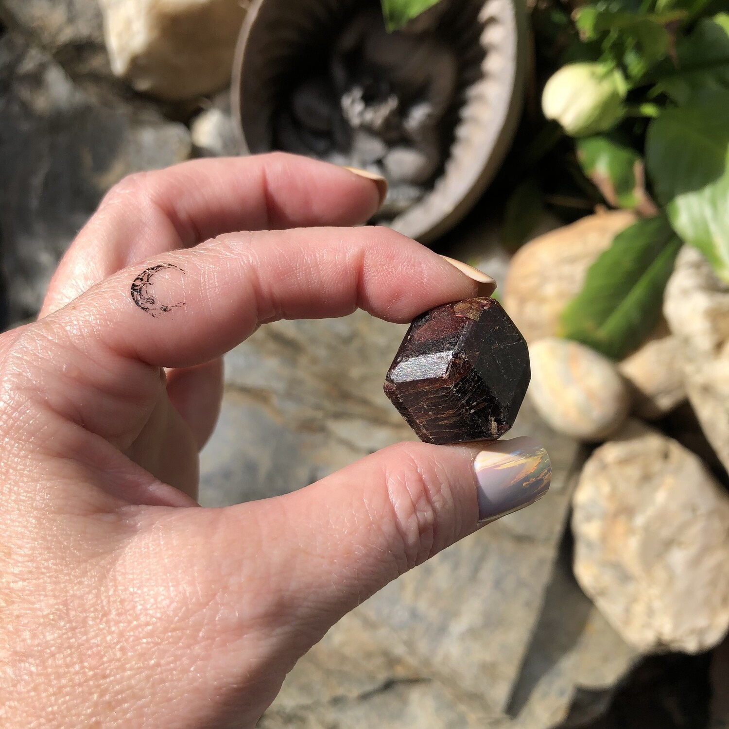 GARNET - RAW