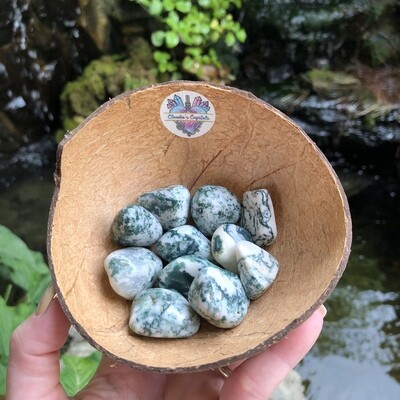 TREE AGATE - (Lg)