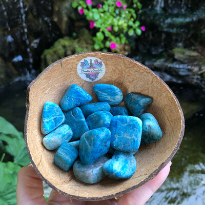 BLUE APATITE - (Lg)