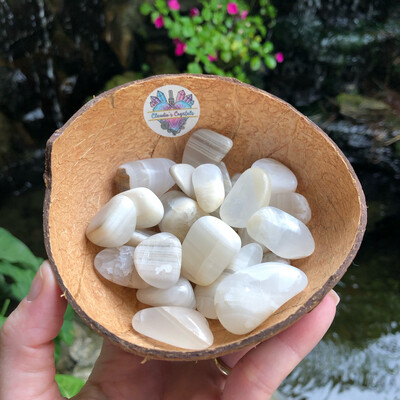 GREY ARAGONITE - (Med)