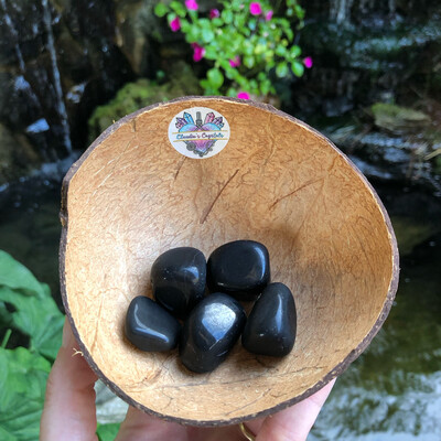BLACK AGATE - (Med)