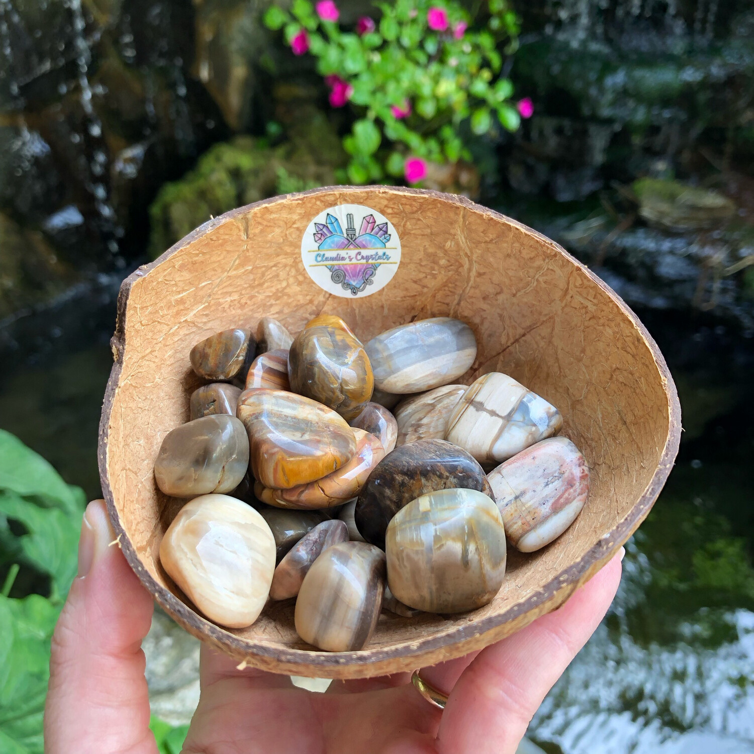 PETRIFIED WOOD - (Lg)