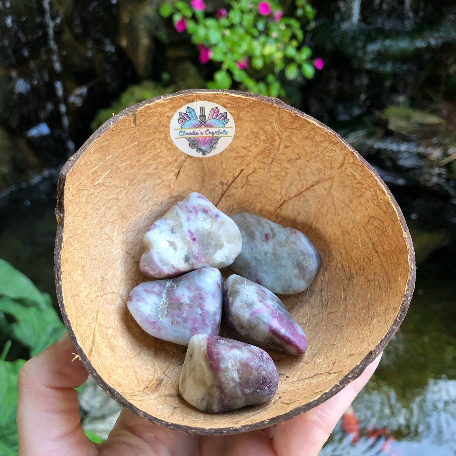 PINK TOURMALINE IN QUARTZ - (Xlg)