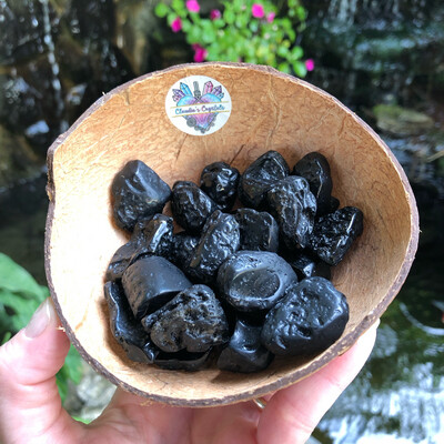 TEKTITE - (Med)