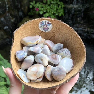 BOTSWANA AGATE - (Med)