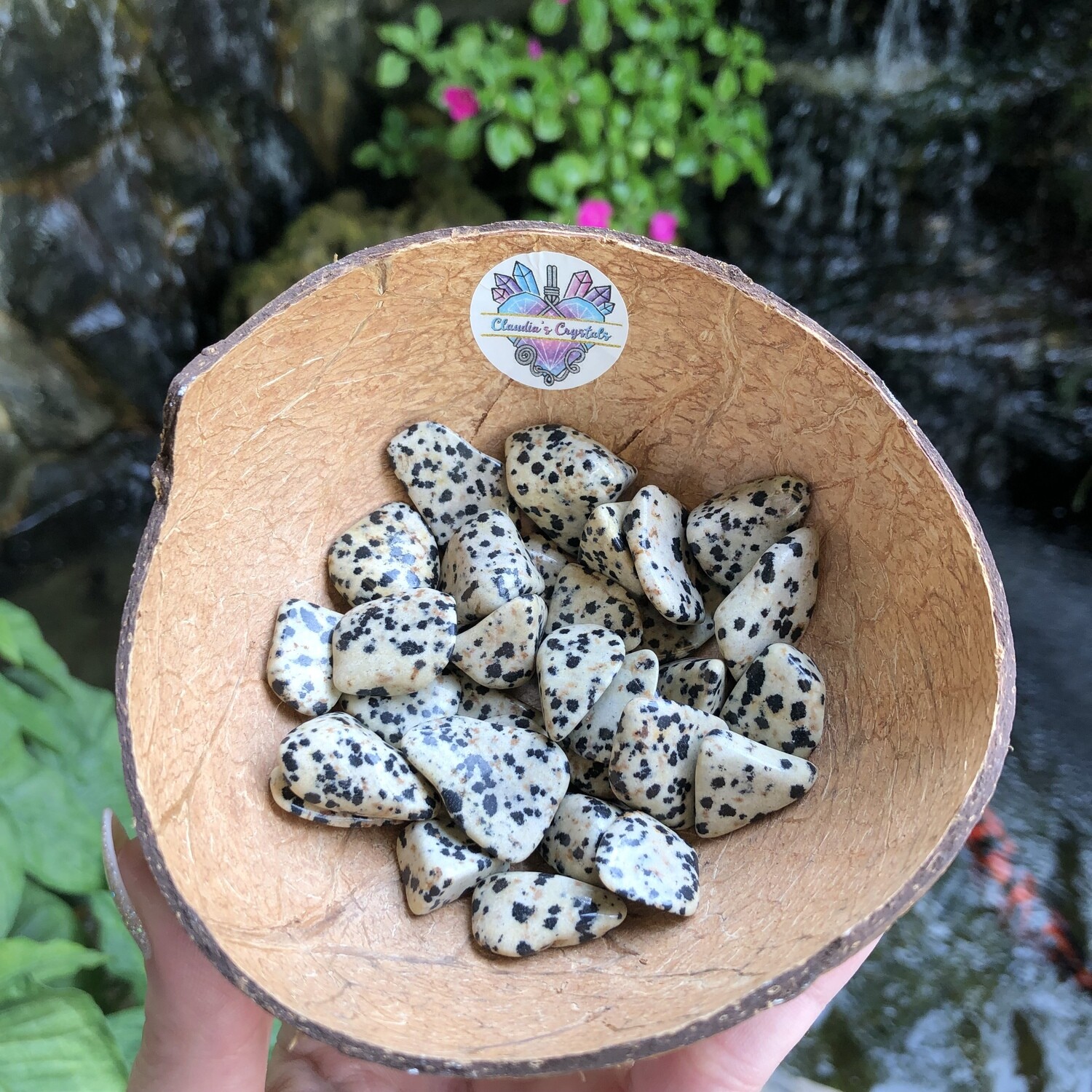 DALMATIAN JASPER - (Sm)