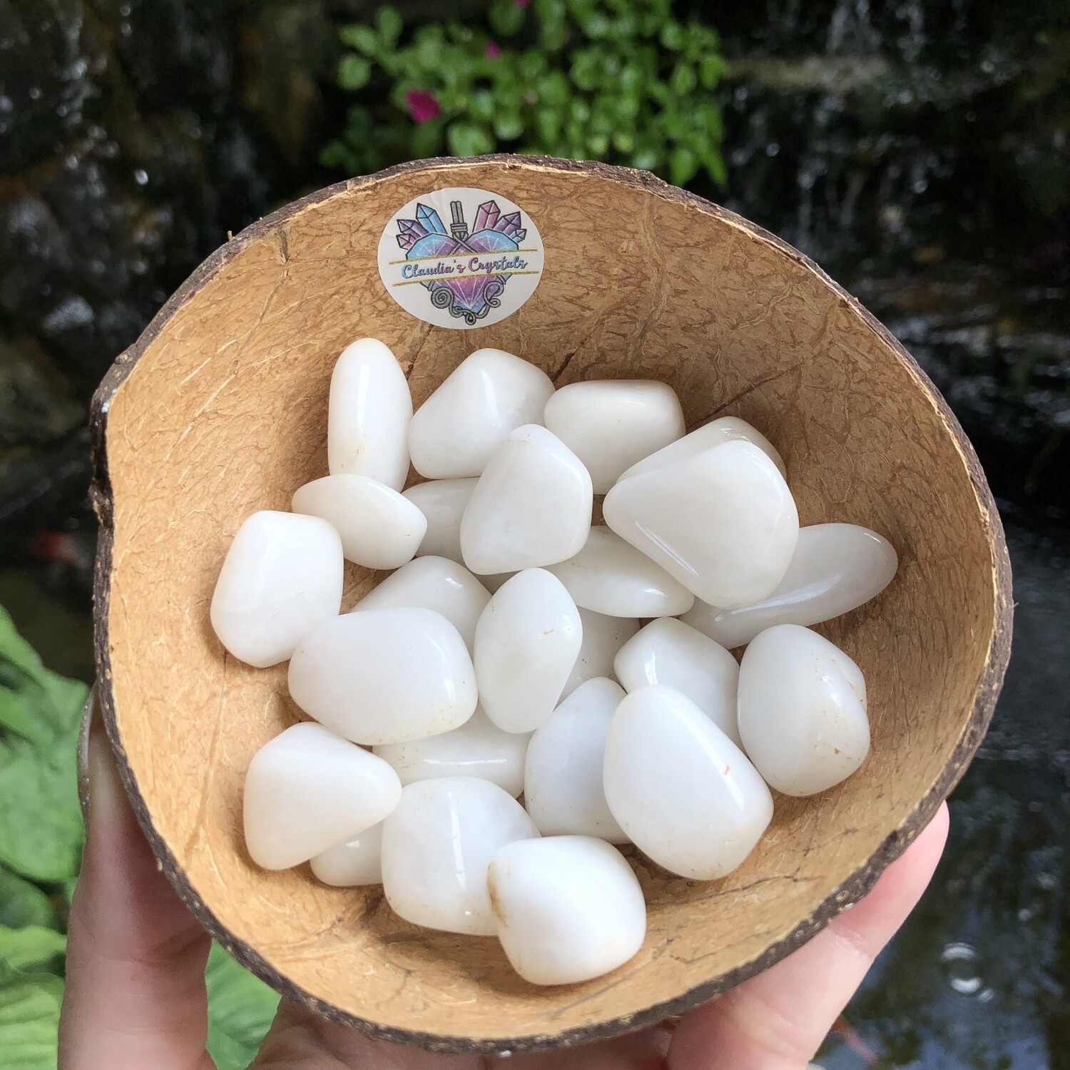 SNOW QUARTZ - (Med)