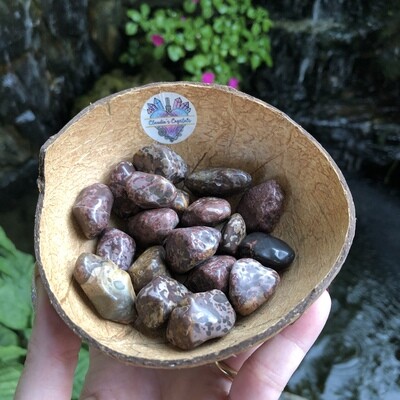 TIGER  JASPER - (Med)