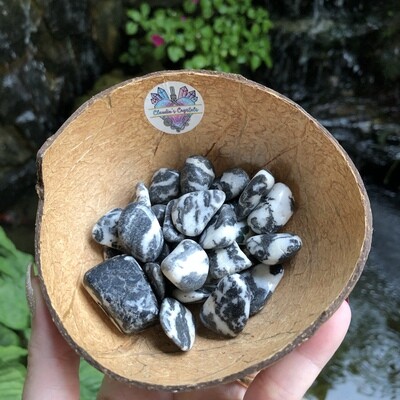 ZEBRA AGATE - (Med)