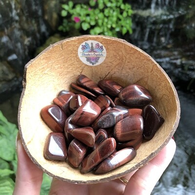 RED TIGERS EYE - (Med)