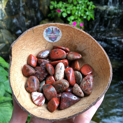 BRECCIATED JASPER - (Med)