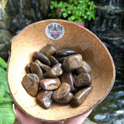 BRONZITE - (Med)
