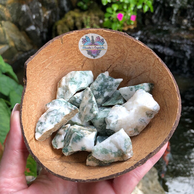 TREE AGATE - RAW