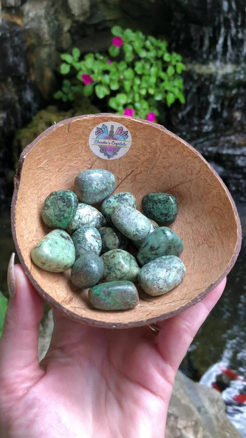 AFRICAN TURQUOISE - (Med)