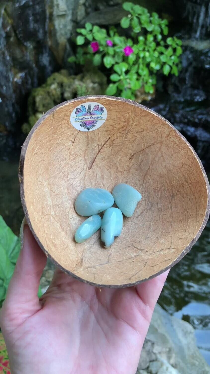 AMAZONITE - CHINESE - (Med)